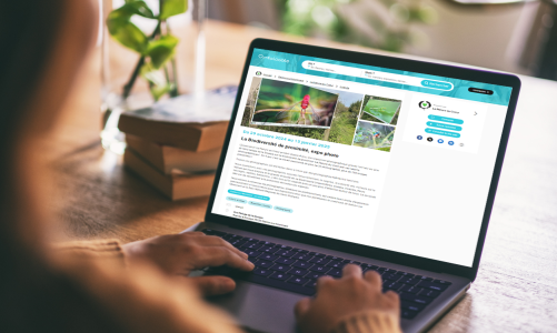 Événement sur Infolocale : 10 conseils pour être lu