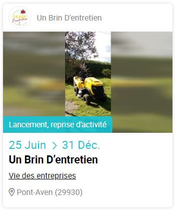 pro-ev-brin