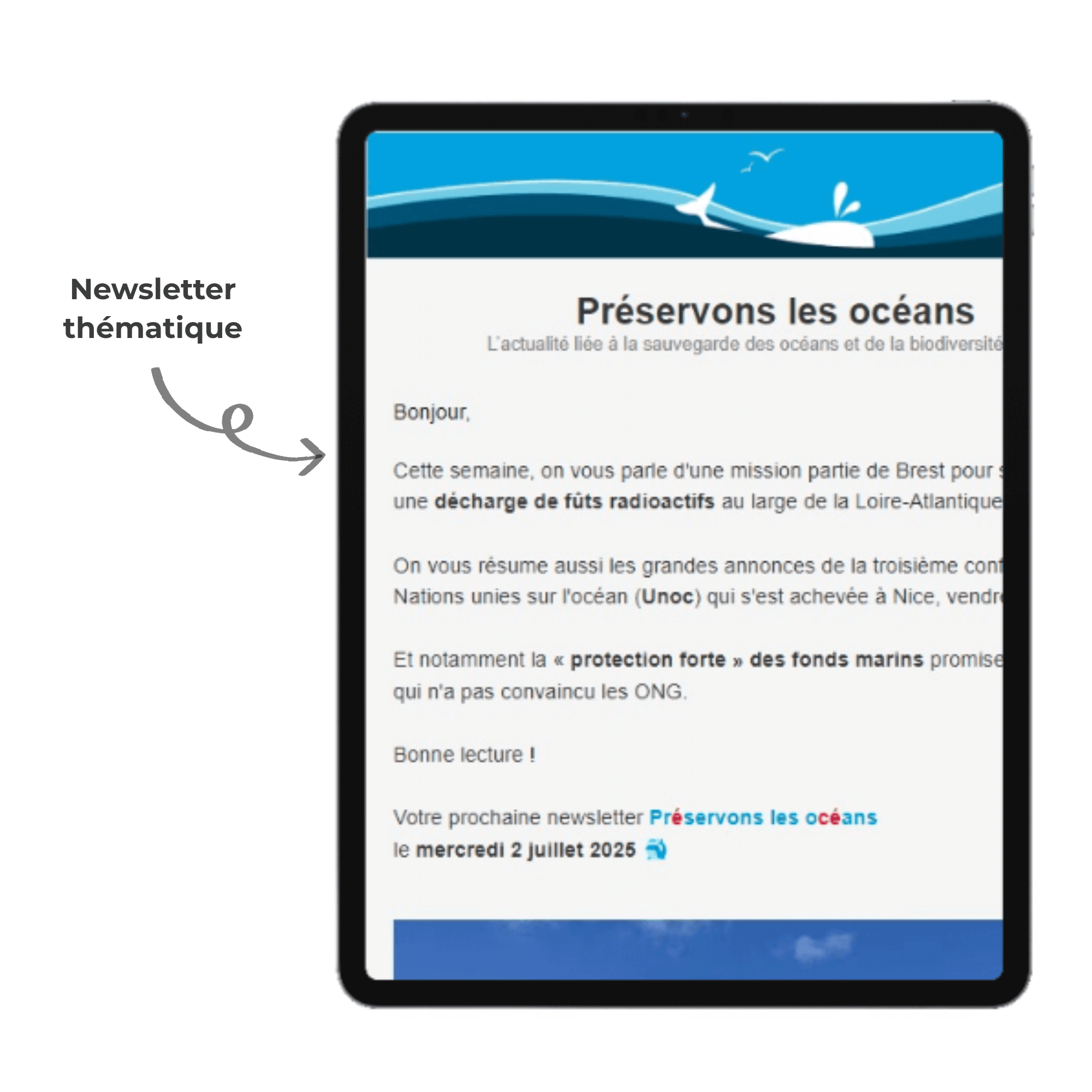 Infolocale exploitant Newsletter thématique
